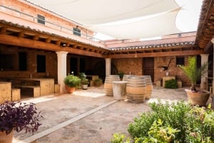 Mallorca: omvisning på vingården Bodegas Ángel med vinsmaking