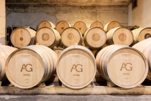 Mallorca: omvisning på vingården Bodegas Ángel med vinsmaking