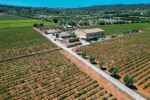 Майорка: экскурсия по винодельне Bodegas Ángel с дегустацией вина