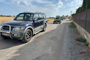 Mallorca: Buggy-Tour-Abenteuer mit Schwimmen in einer Bucht