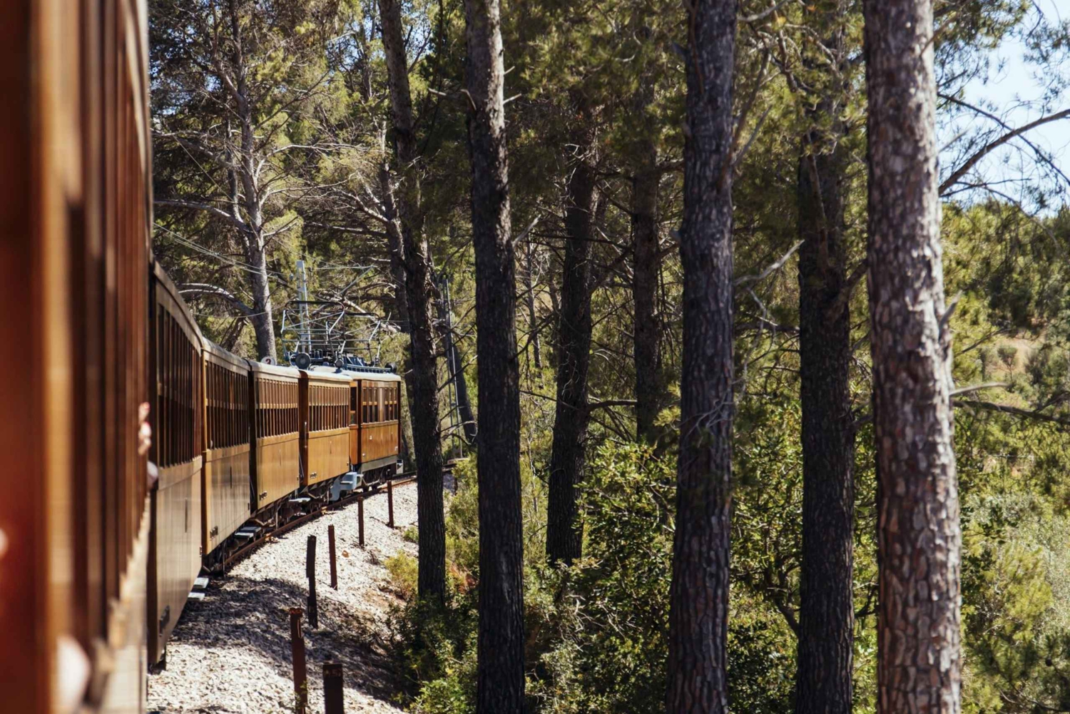 Tur med buss, trikk, tog og båt på Mallorca med polsk guide