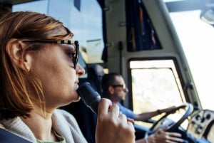 Mallorca bus-, sporvogns-, tog- og bådtur med polsk guide