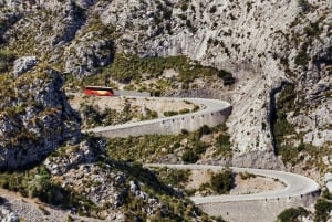 Mallorca bus-, sporvogns-, tog- og bådtur med polsk guide