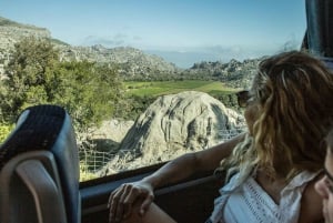 Mallorca bus-, sporvogns-, tog- og bådtur med polsk guide