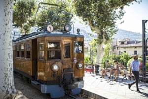 Mallorca bus-, sporvogns-, tog- og bådtur med polsk guide