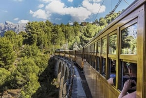 Mallorca bus-, sporvogns-, tog- og bådtur med polsk guide