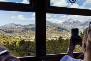 Tur med buss, trikk, tog og båt på Mallorca med polsk guide