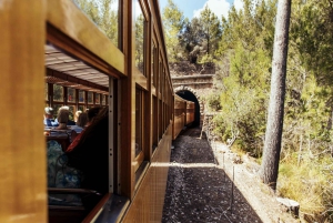 Tur med buss, trikk, tog og båt på Mallorca med polsk guide