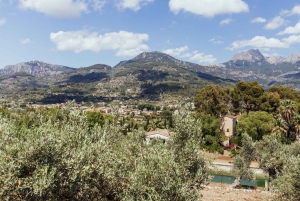 Tur med buss, trikk, tog og båt på Mallorca med polsk guide