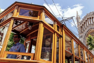 Tur med buss, trikk, tog og båt på Mallorca med polsk guide