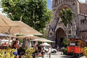 Tur med buss, trikk, tog og båt på Mallorca med polsk guide