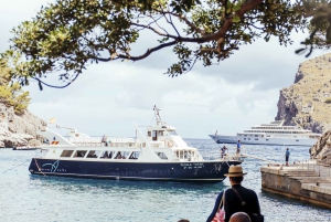Tur med buss, trikk, tog og båt på Mallorca med polsk guide
