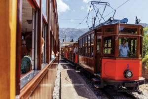 Tur med buss, trikk, tog og båt på Mallorca med polsk guide
