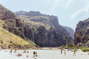 Tur med buss, trikk, tog og båt på Mallorca med polsk guide