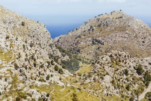 Tur med buss, trikk, tog og båt på Mallorca med polsk guide