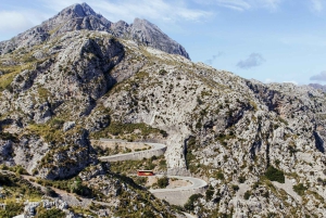 Tur med buss, trikk, tog og båt på Mallorca med polsk guide