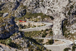 Tur med buss, trikk, tog og båt på Mallorca med polsk guide