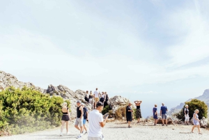 Tur med buss, trikk, tog og båt på Mallorca med polsk guide