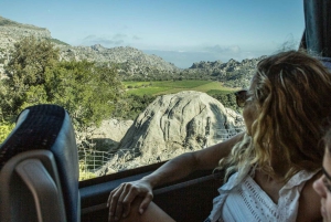 Tur med buss, trikk, tog og båt på Mallorca med polsk guide