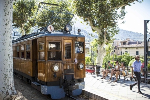 Tur med buss, trikk, tog og båt på Mallorca med polsk guide