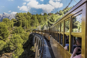 Tur med buss, trikk, tog og båt på Mallorca med polsk guide