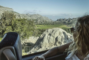 Tur med buss, trikk, tog og båt på Mallorca med polsk guide