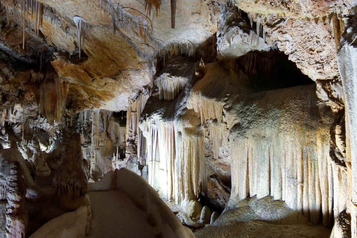 Mallorca : Billet d'entrée aux grottes de Campanet