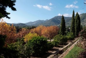 Mallorca: Campanet Caves Entry Ticket