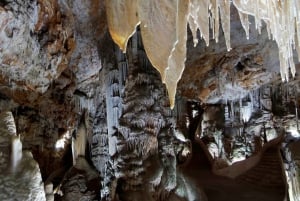 Mallorca: Inträdesbiljett till Campanets grottor
