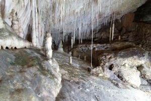 Mallorca: Billet til Campanet-hulerne