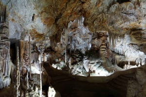 マヨルカ島：カンパネット洞窟入場券