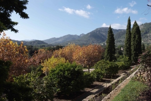 Mallorca: Campanet Caves Entry Ticket