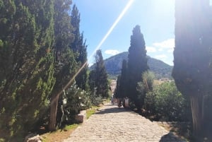 Mallorca: Cap & Cava - Formentor, Pollença, Lluc - Rundvisning