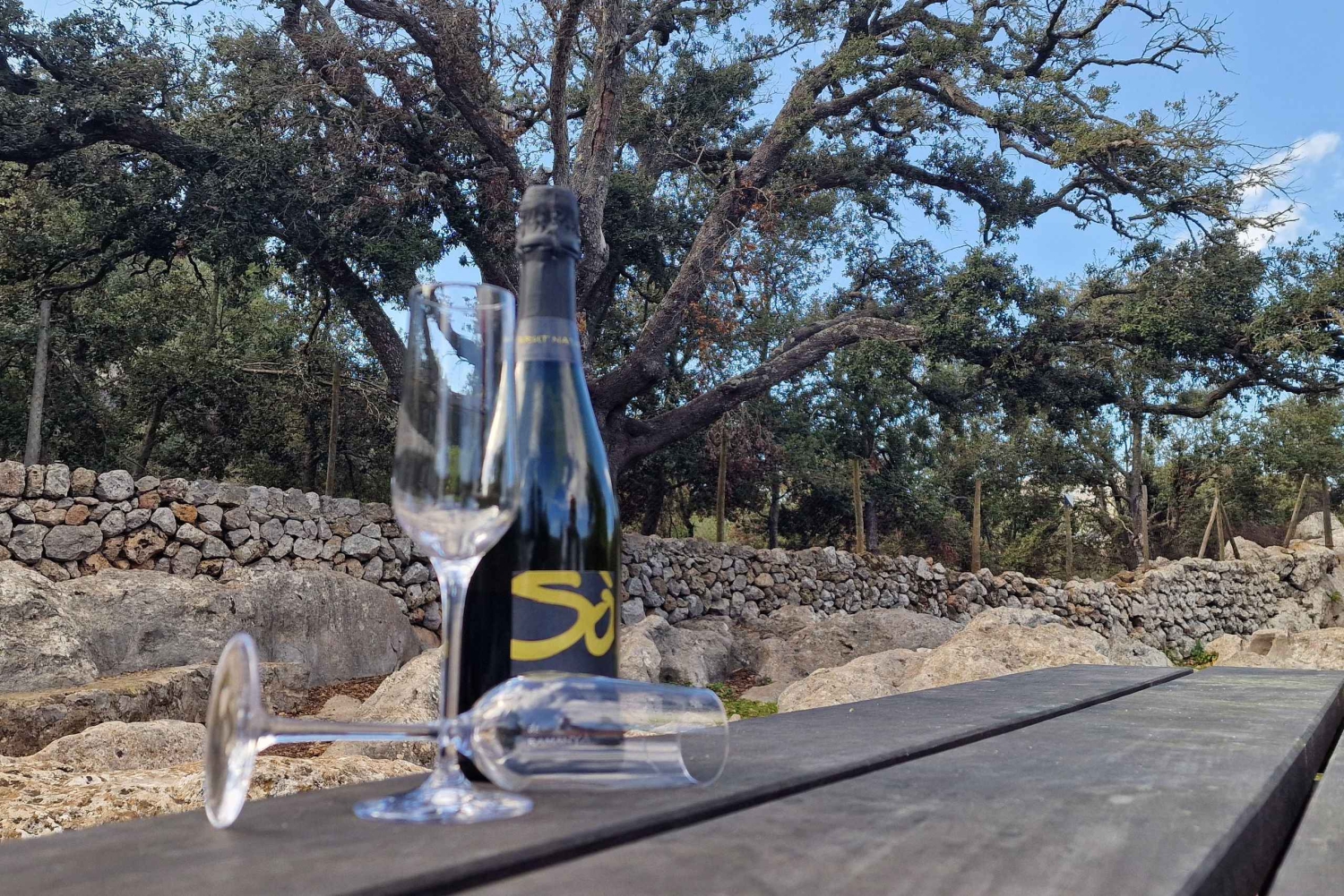 Mallorca: Cap & Cava - Excursão de microônibus para Formentor - ALEMÃO