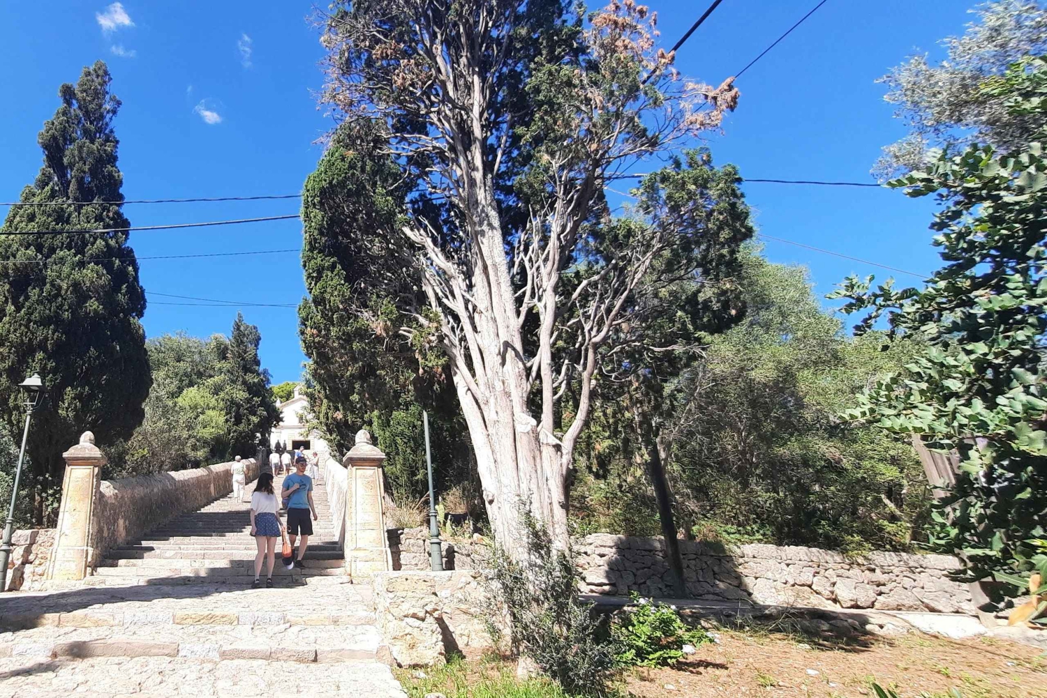 Mallorca: Cap & Cava - Excursão de microônibus para Formentor - ALEMÃO