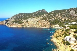 Mallorca: Catamaran Coastal Cruise with Lunch