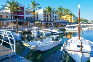 Mallorca: Catamaran Coastal Cruise with Lunch