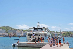 Mallorca: Catamaran Cruise with Stop at Port of Andratx