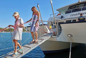 Mallorca: Catamaran Cruise with Swimming & Snorkeling