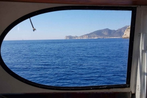 Mallorca: Catamaran Cruise with Swimming & Snorkeling