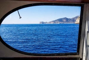Mallorca: Katamarankrydstogt med svømning og snorkling