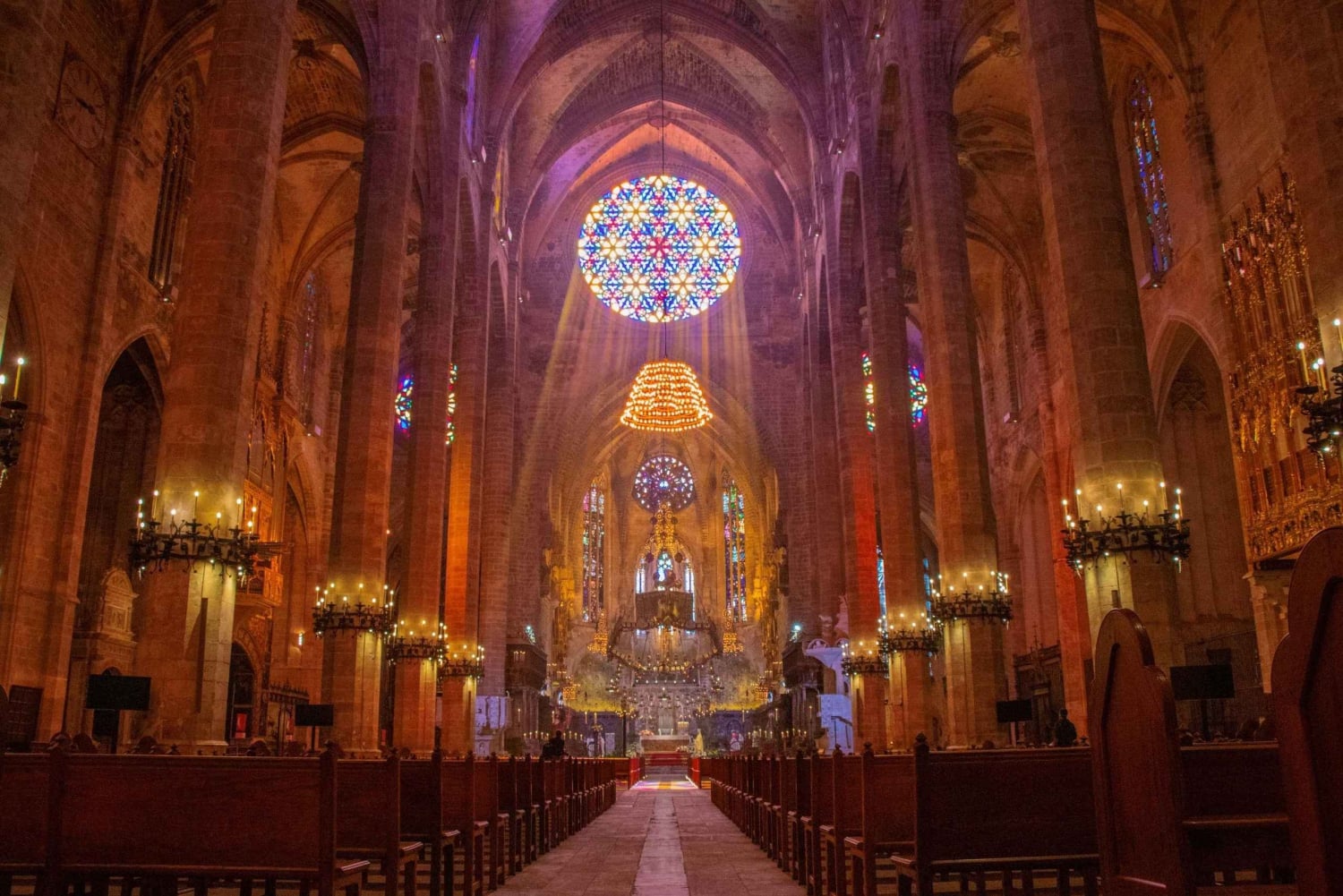 Mallorca: rondleiding door de kathedraal, uitzicht op het kasteel van Bellver en ensaïmada