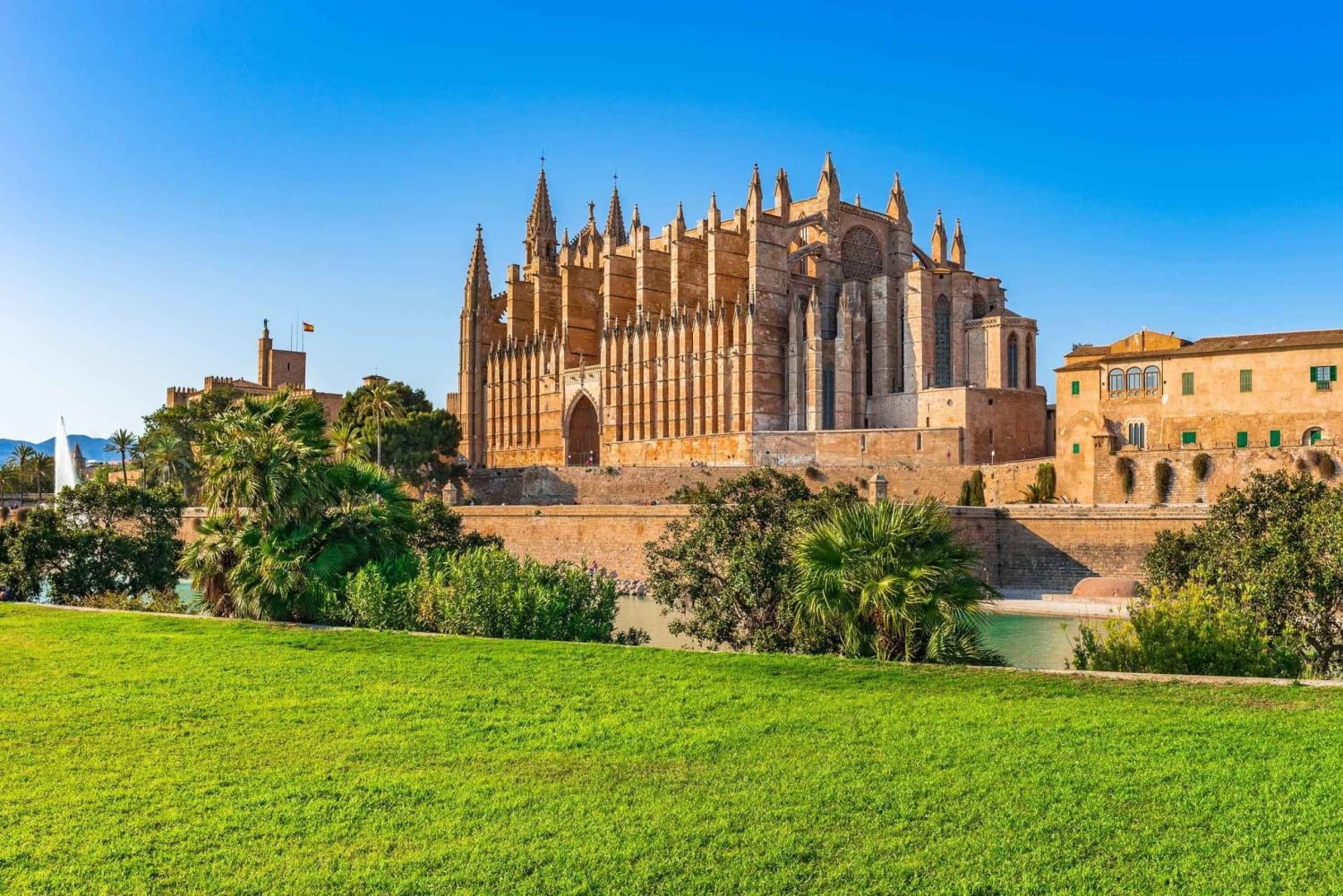 Mallorca: rondleiding door de kathedraal, uitzicht op het kasteel van Bellver en ensaïmada