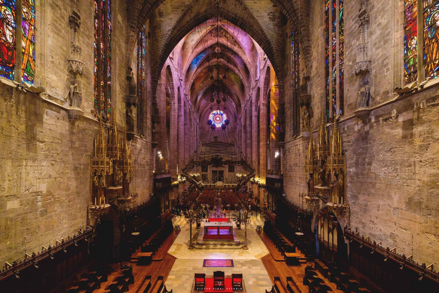 Mallorca: rondleiding door de kathedraal, uitzicht op het kasteel van Bellver en ensaïmada