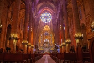 Mallorca: rondleiding door de kathedraal, uitzicht op het kasteel van Bellver en ensaïmada