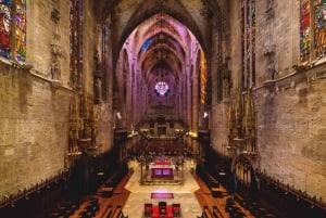 Mallorca: rondleiding door de kathedraal, uitzicht op het kasteel van Bellver en ensaïmada