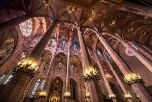 Mallorca: rondleiding door de kathedraal, uitzicht op het kasteel van Bellver en ensaïmada