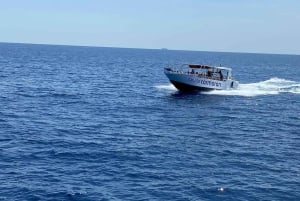 Mallorca: Caves, Cliffs, and Coves Boat Trip