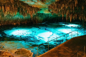 Mallorca: Caves of Drach Day Trip & Optional Caves of Hams