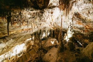 Maiorca: Grotte del Drago e Grotte di Hams opzionali